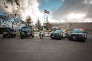 Read more about the article Rome: A Walk Through History